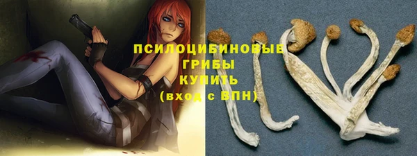 мяу мяу кристалл Гусев