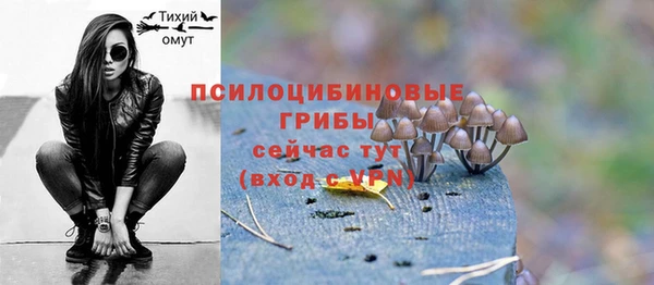 амф Гусиноозёрск