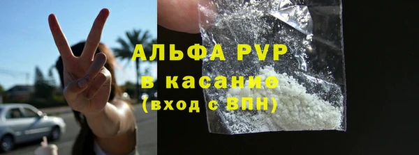 PSILOCYBIN Дмитриев