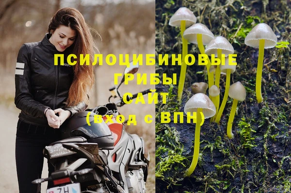 PSILOCYBIN Дмитровск