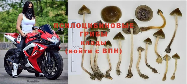 PSILOCYBIN Дмитровск