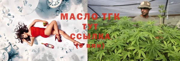 apvp Ельня