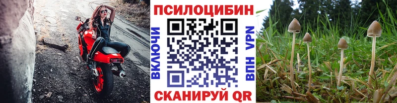 Галлюциногенные грибы мицелий Куса